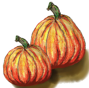 two-drawn-pumpkins